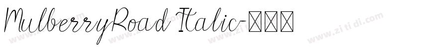 MulberryRoad Italic字体转换